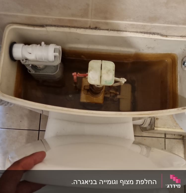 מיכל אסלה פתוח עם מנגנון פנימי